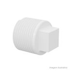 Plug_roscvel_112_tigre_1141340