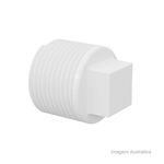 Plug_roscvel_2_tigre_1141720