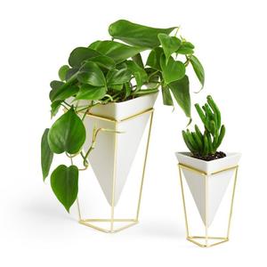Vaso_de_mesa_trigg_2_peas_branco_dourado_umbra_7730410