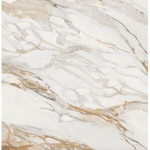 Porc. ret. eterno borghini wh pol. 120x120