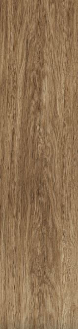 Porc_ret_bosque_30x120_7835930