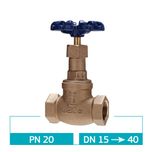 Valvula_globo_classe_150s_300w_pn2_7948850