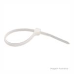 Abraadeira_de_nylon_200_x_36_mm_com_100_unidades_branco_vonder_56916301