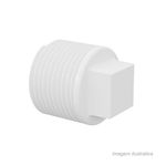 Plug_roscvel_114_tigre_1141410
