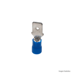 Terminal_macho_isolado_ma_256_azul_intelli_67041801