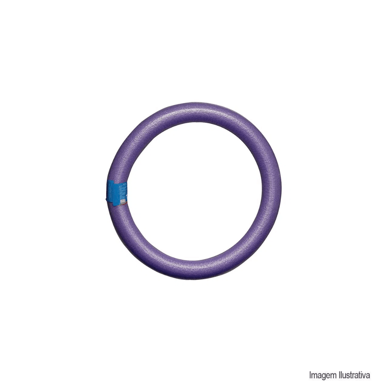Flutuador_circular_sortidos_55x6_cm__mor_78467001