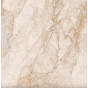 Porcelanato retificado flamingo spk polido 120x120cm - ceusa