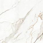 Porc_capraia_polido_120x120_7566170
