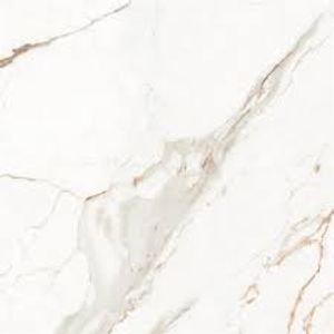 Porc. capraia acet. 83x83