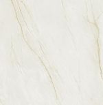 Porc_ret_solene_wh_pol_80x160_7836900