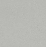 Porc_portinari_ret_boulevar_srg_nat_120x120__portinari_7883690
