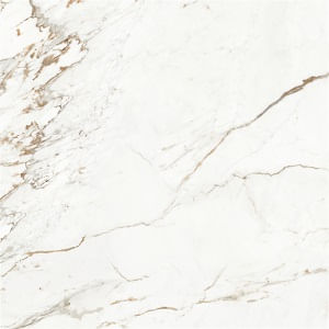 Porc. capraia acet. 121x121