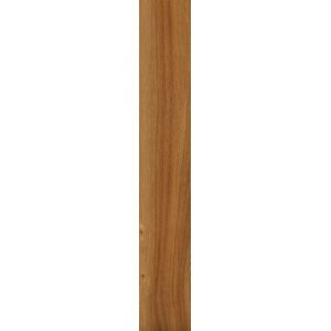 Porc. ret. olmo no nat 26x160