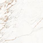 Porc_capraia_polido_82x82_7524110