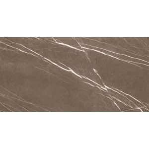 Porcelanato acetinado armani bronzo 62x121cm damme / ref.ar12203