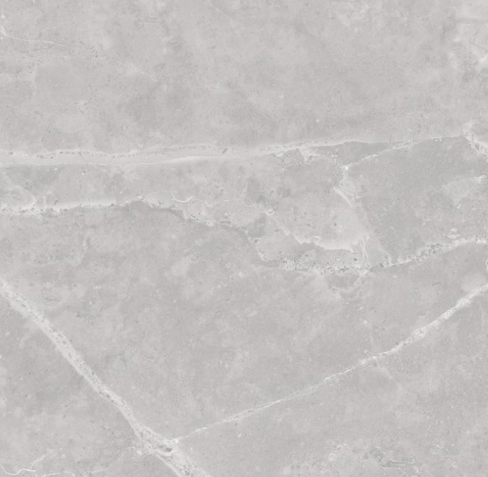 Porc_ceusa_ret_vancouver_acet_100x100_7865010