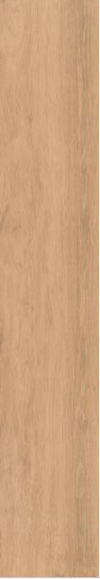 Porcelanato__retificado_tavola_natural_externo_20x120_7949600
