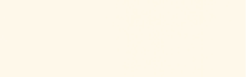 Revest_eliane_linear_bone__ma_10x30_7939700