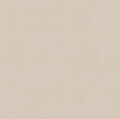 Porc_portinari_bold_york_be_hard_bold_60x60__portinari_7926310