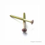Parafuso_philips_50_x_70mm_com_200__vonder_6095550