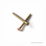 Parafuso_philips_35_x_20_mm_com_500__vonder_6093400