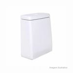 Caixa_acoplada_polido_lk_44x355cm_branco_deca_ref_cd23f17_5963290