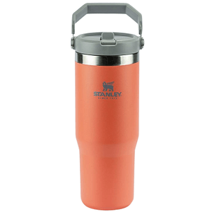Tumbler termico flip straw guava 887ml - stanley