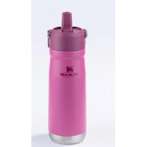 Garrafa térmica flip straw 651ml azalea - stanley