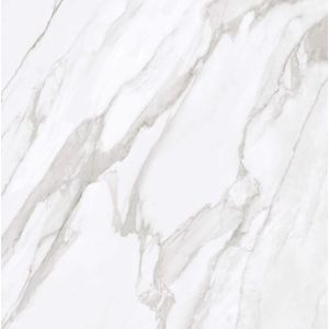 Porc. portinari ret liric wh pol 120x120 - portinari