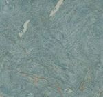 Porc_ceusa_retjade_gn_pol_120x120__ceusa_7896720