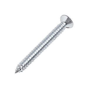 Parafuso atarraxante cabeça chata de fenda phillips 4,8x50mm com 10 unidades - bemfixa