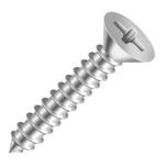 Parafuso_atarraxante_phillips_cabea_panela_42x32mm_com_10_unidades__bemfixa_7324130