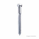 Parafuso_rosca_soberba_cabea_sextavada_516x65mm_com_04_unidades__bemfixa_6664040
