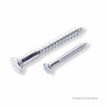 Parafuso_para_madeira_cabea_chata_de_fenda_simples_de_38x20mm_com_100_unidades__bemfixa_6661380