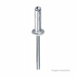 Rebite_de_alumnio_32x6mm_com_20_unidades__bemfixa_6687810