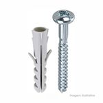 Bucha_de_nylon_com_parafuso_cabea_panela_phillips_de_7mm_com_30_unidades__bemfixa_6667490