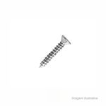 Parafuso_para_dobradia_42x25mm_com_20_unidades__bemfixa_6665100