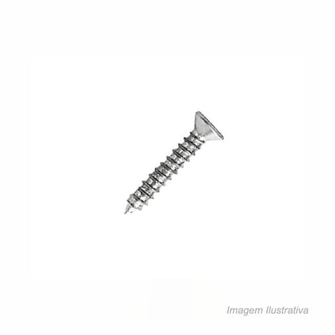 Parafuso_para_dobradia_42x25mm_com_20_unidades__bemfixa_6665100