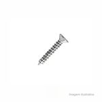 Parafuso_para_dobradia_42x25mm_com_20_unidades__bemfixa_6665030