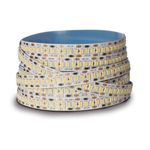 Fita_led_advanced_12v_24w_4000k_5_metros_ip20_2400_lumensmetro_llum_7941620