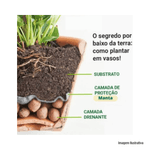 Argila_expandida_media_25_kg_nutriplan_ref8000209u_7998001