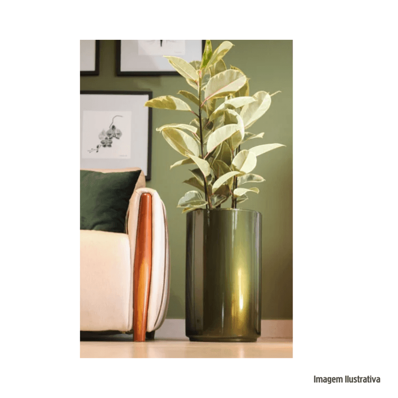 Vaso_classic_prime_cilindrico_55cm_verde_olivette_nutriplan_ref735022253_7997821