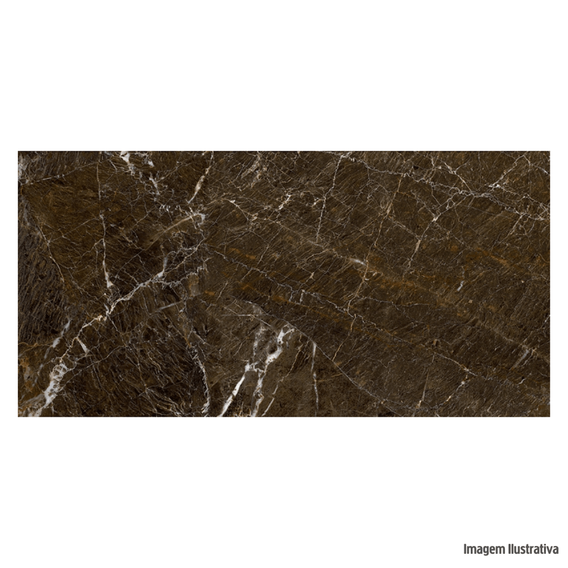 Porcelanato_elegant_brown_polido_61x120_damme_refdpr12122_8003231
