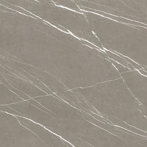 Porcelanato polido armani fendi 120x120cm damme / ref.pr24204