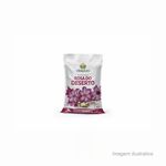 Terra_especial_para_rosa_do_deserto_2kg_nutriplan_ref9001018u_6382720