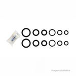 Kit_de_anis_oring_para_registros_e_torneiras__blukit_3723500
