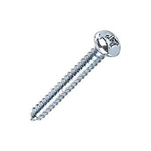 Parafuso atarraxante cabeça panela e fenda phillips 2,9x16mm com 20 unidades - bemfixa
