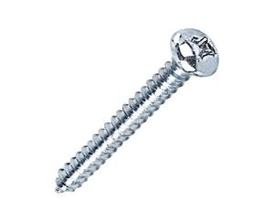 Parafuso_atarraxante_cabea_panela_e_fenda_phillips_29x16mm_com_20_unidades__bemfixa_2703280