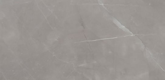 Porc_eliane_ret_pulpis_gray_po_60x120_7878630