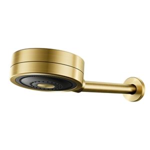 Chuveiro novo technoshower ouro escovado - docol